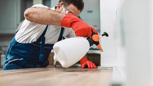 Best Pest Control for Restaurants and Food Service  in Haughton, LA